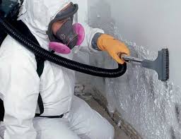 Mold Removal for HVAC Installations in Harristown, IL